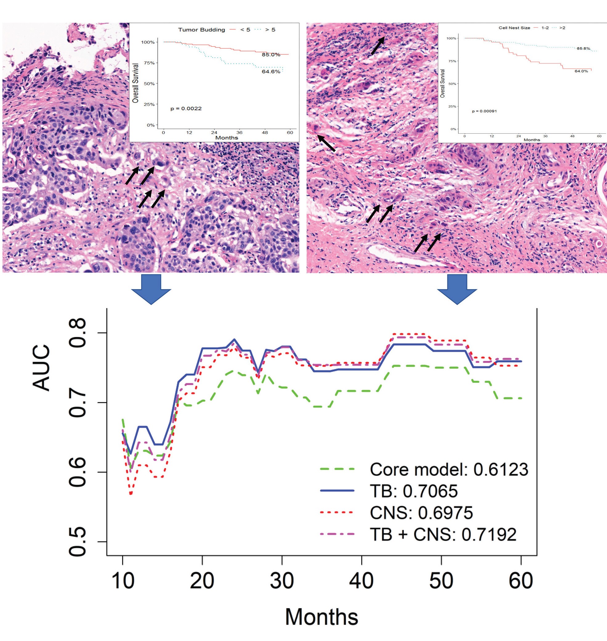 Editor's Choice article
